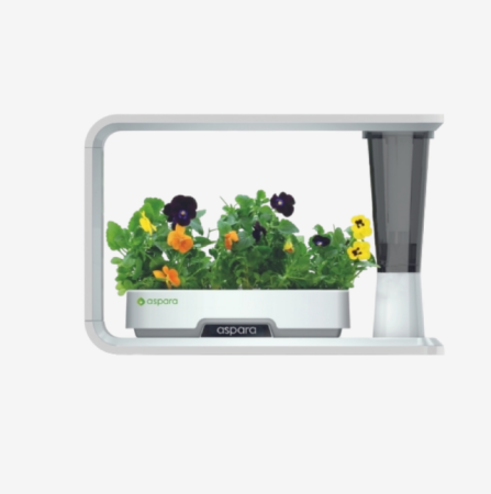 Aspara Hydroponics indoor smart grower system with vibrant flowers, ideal for home gardening and sustainable indoor farming

